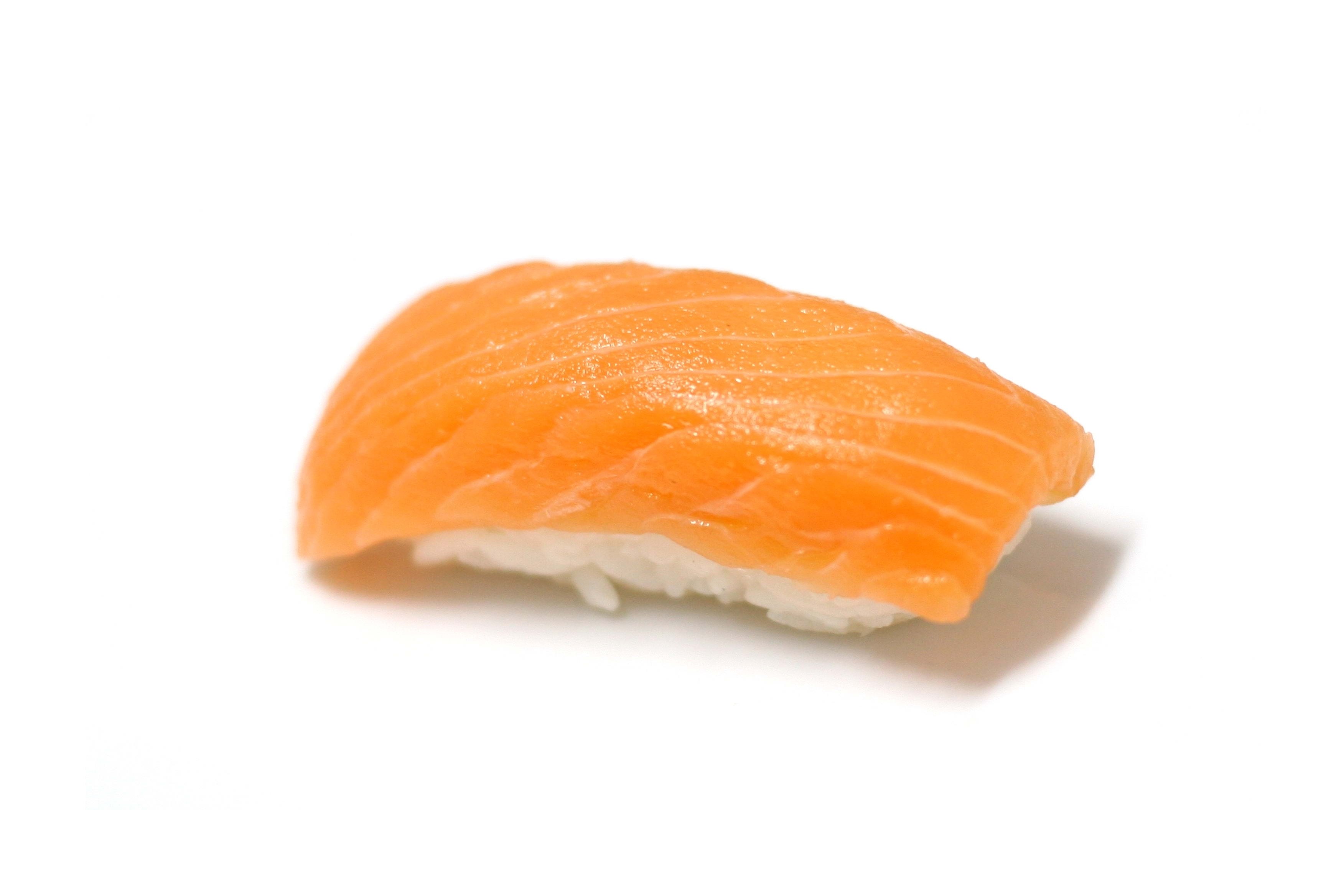 salmon nigiri sushi