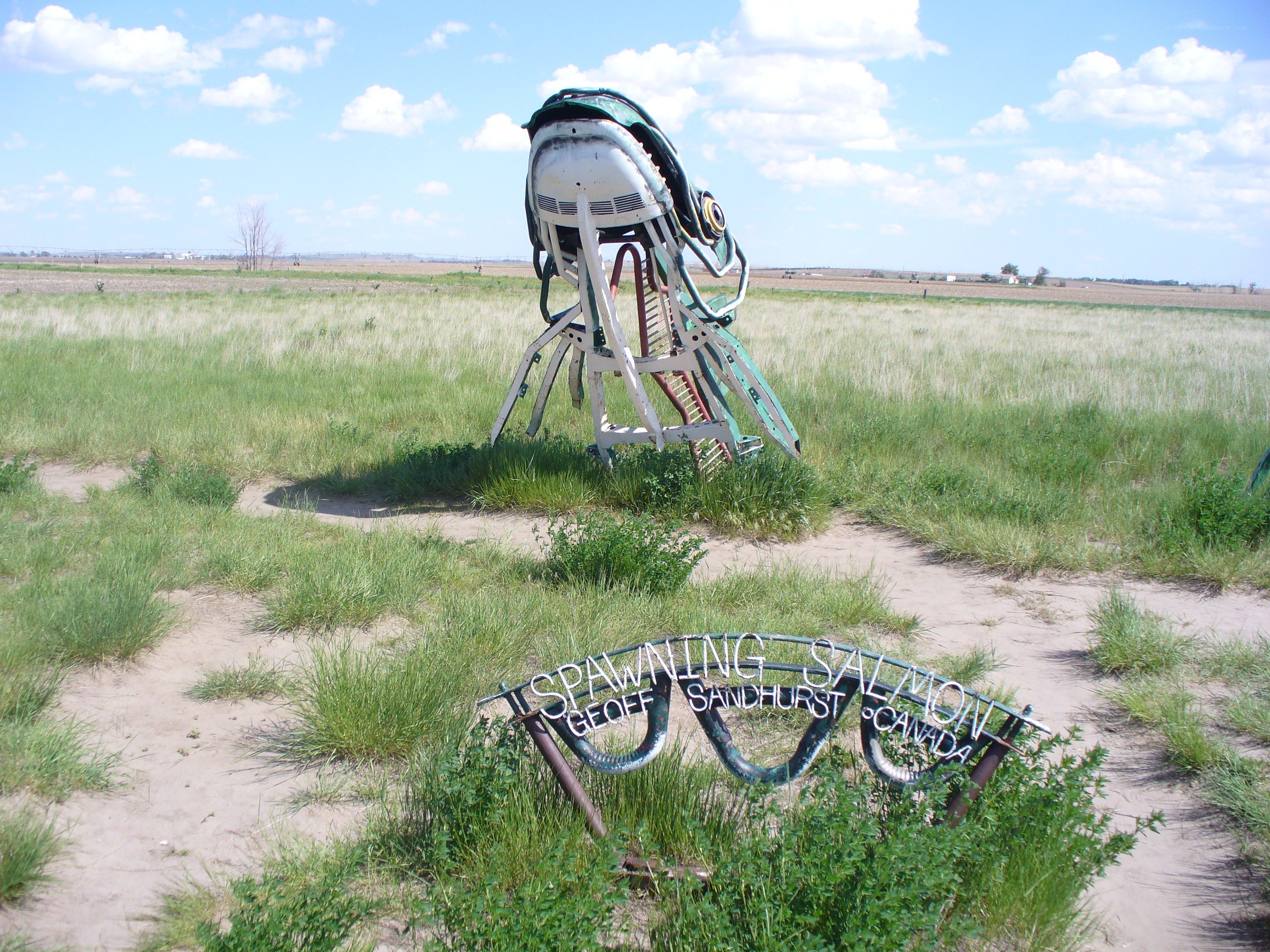 Salmon sculpture in a field