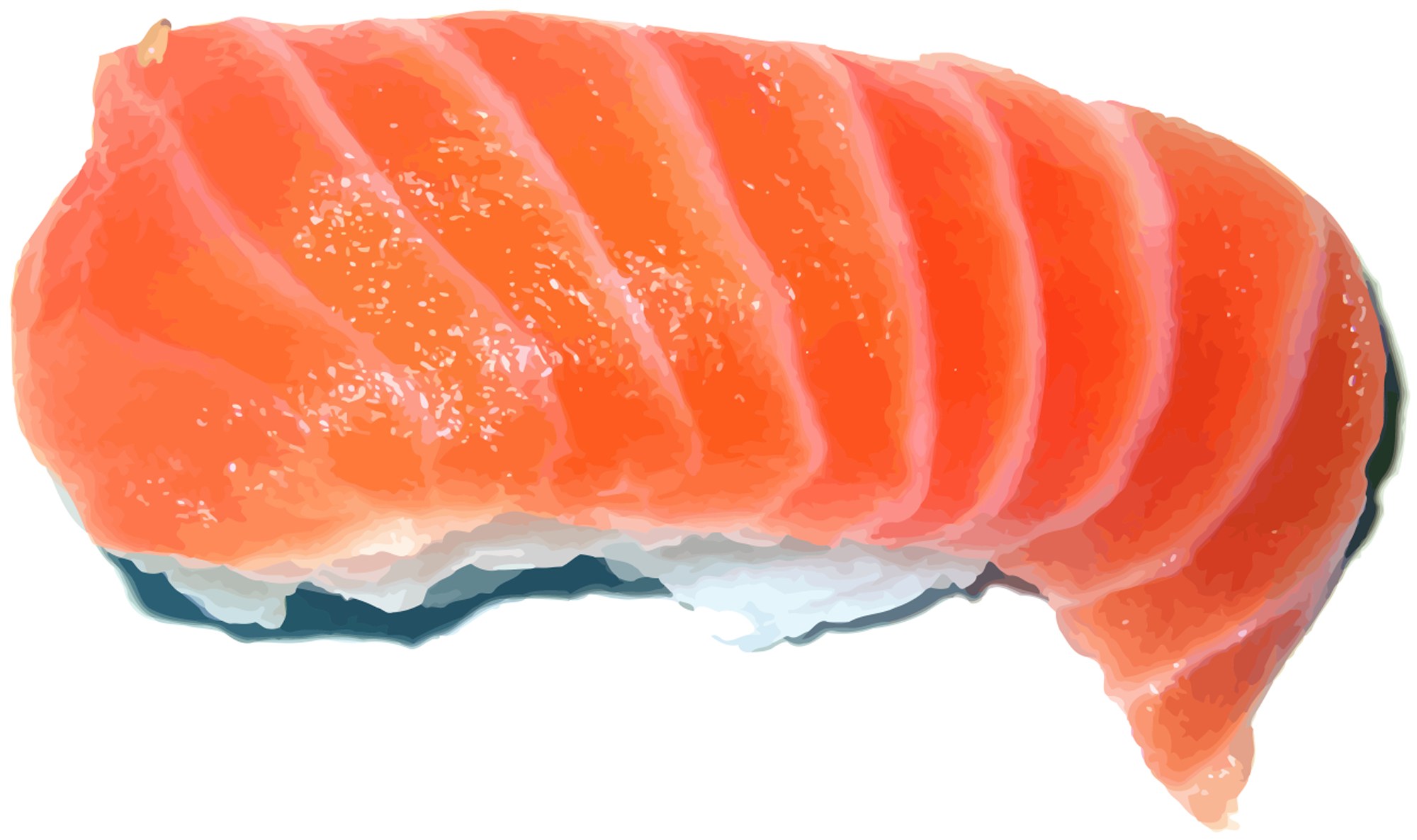 salmon sushi nigiri