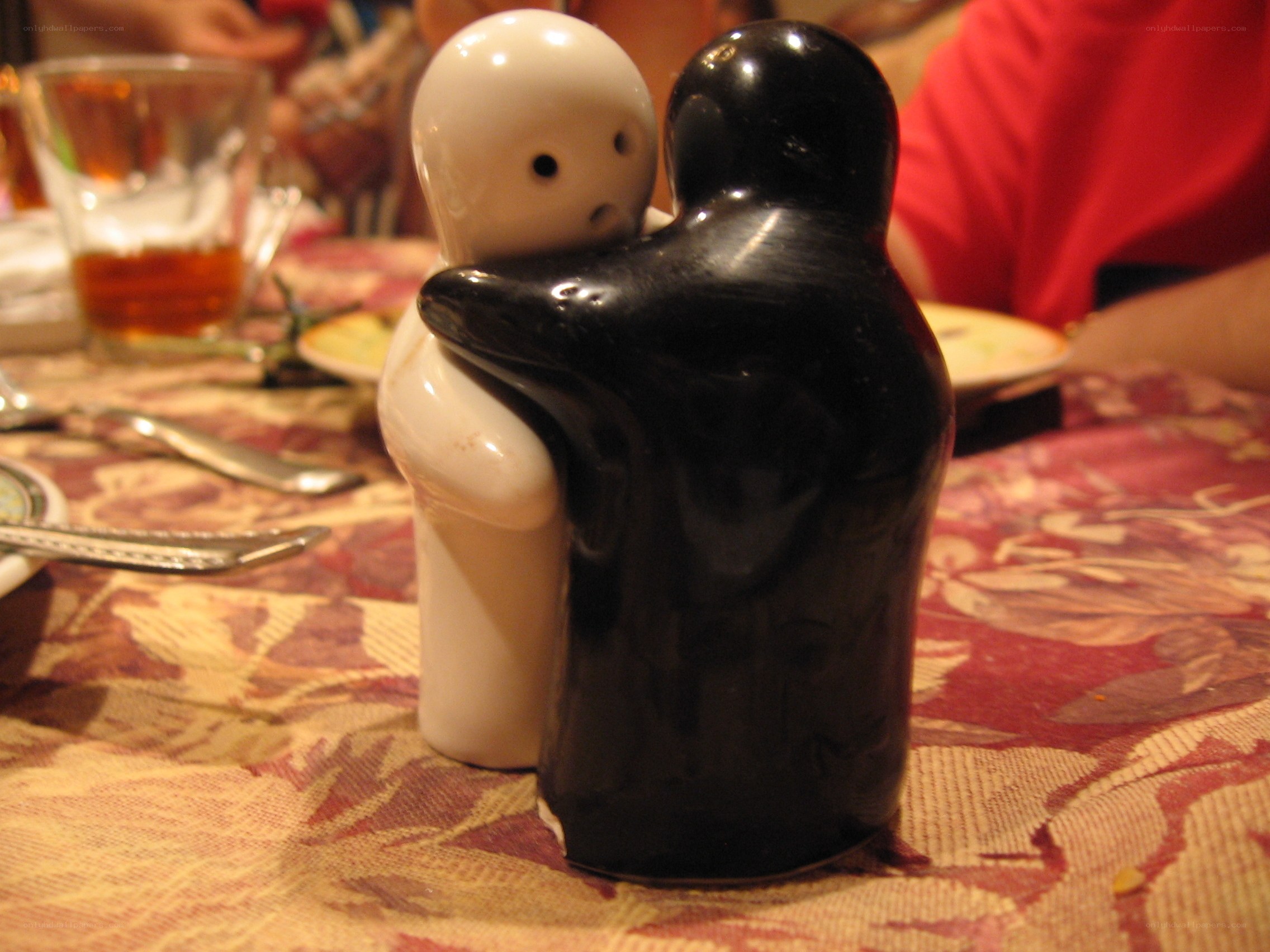 salt and pepper shakers hugging