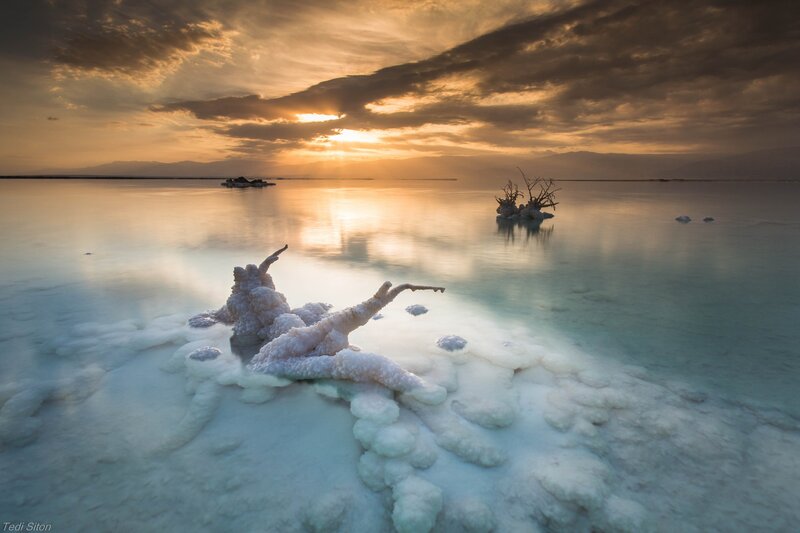 Salt-encrusted Driftwood
