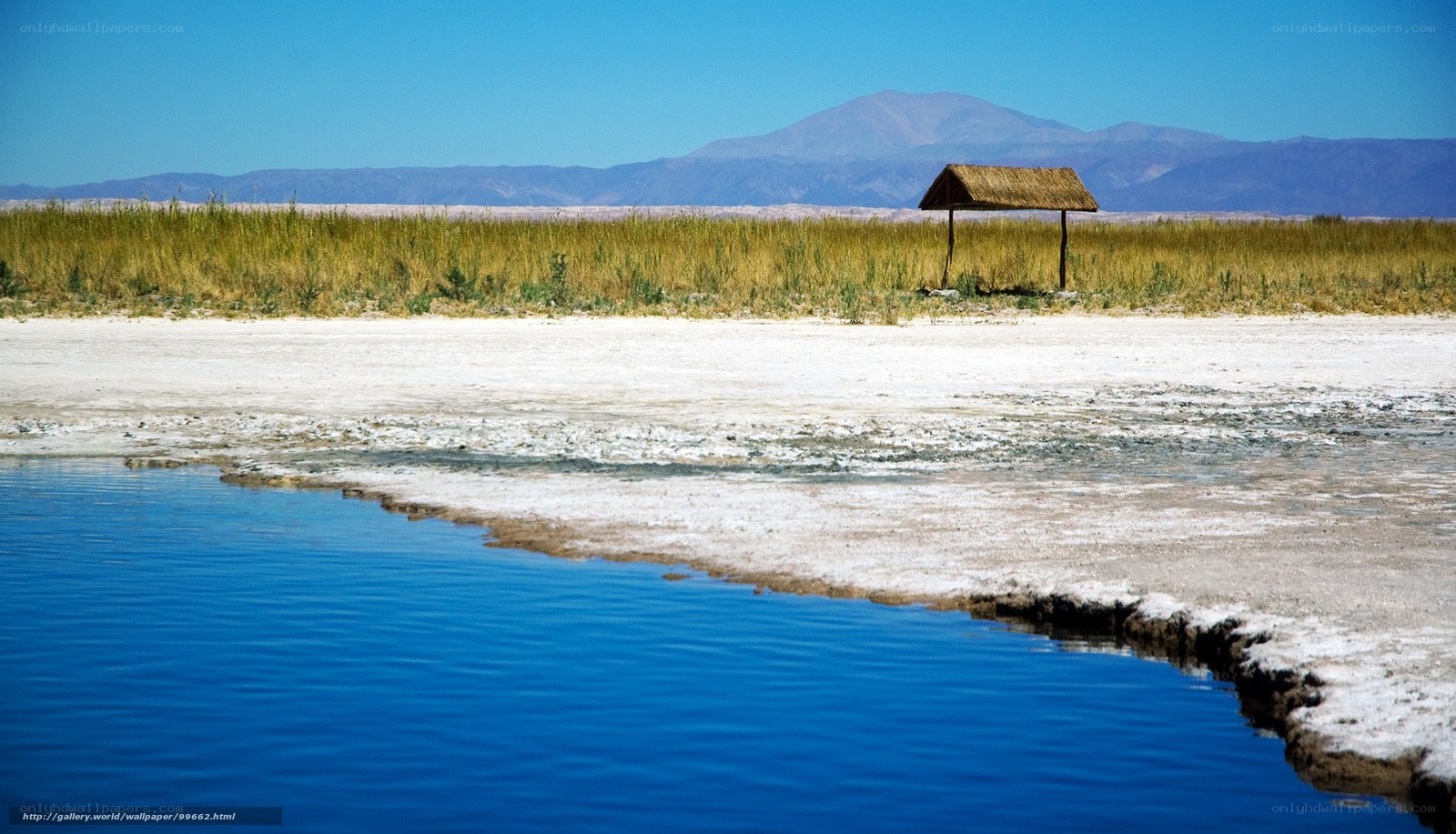 Salt flat with blue water