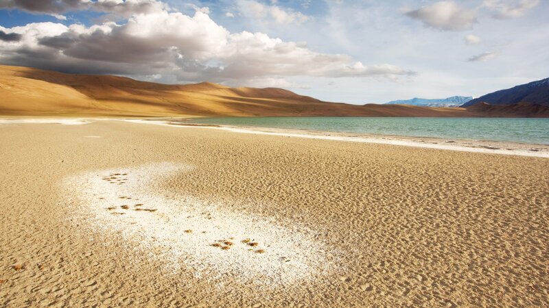 Salt Flat with Lake