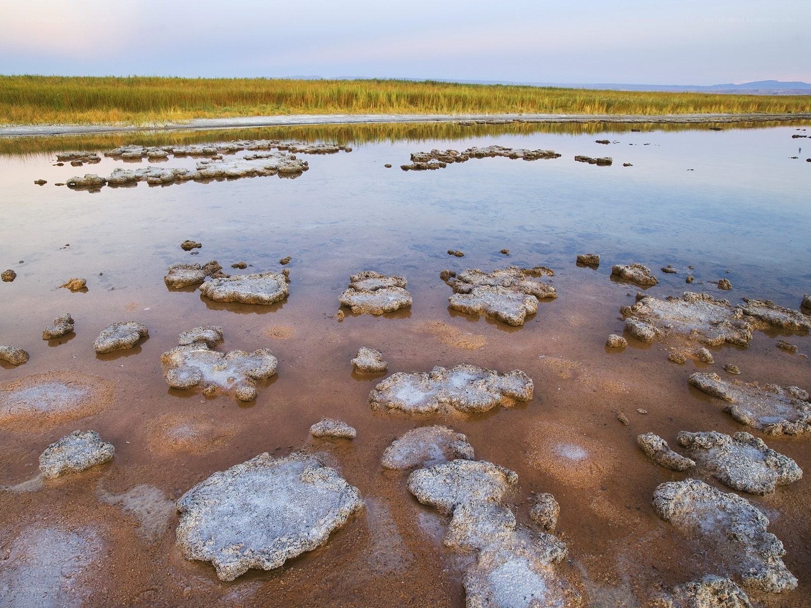 Salt flats at a lake