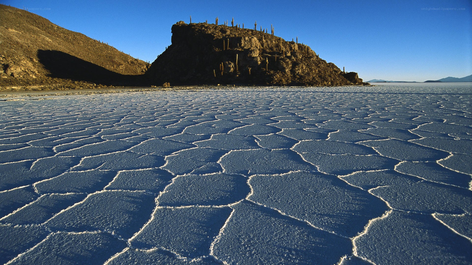 Salt flats with cactus-covered hill