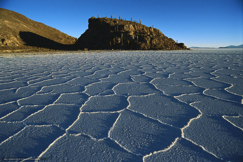 Salt flats with cactus-covered hill