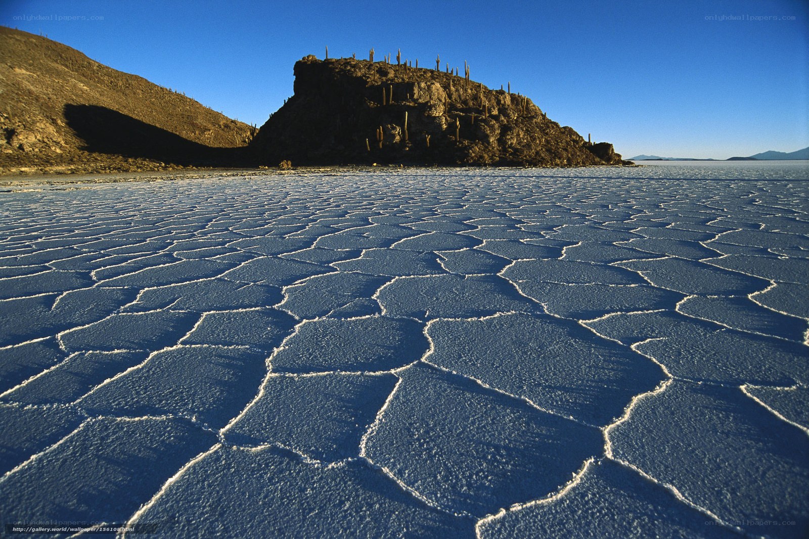 Salt flats with cactus-covered hill