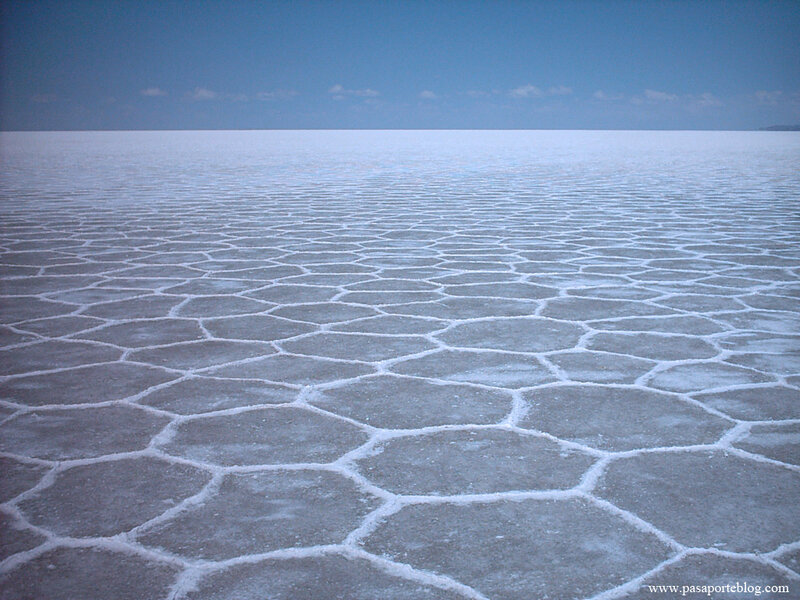 Salt flats with hexagonal patterns