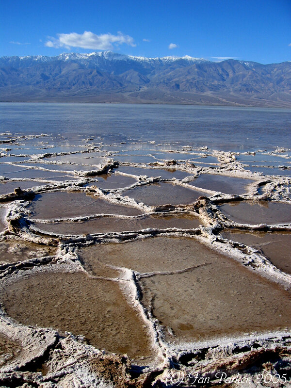 salt flats with mountain backdrop