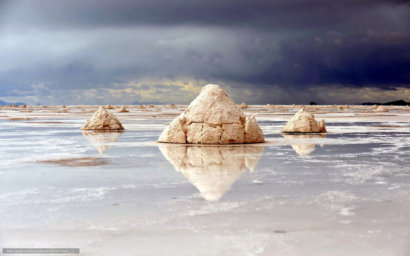 Salt Formations in Salt Flat — Gray
