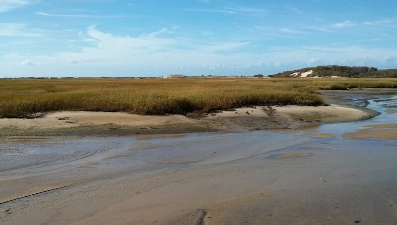 Salt Marsh Landscape — Blue