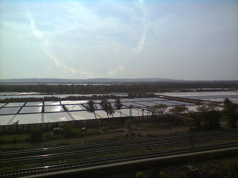 Salt Pans Near Railway