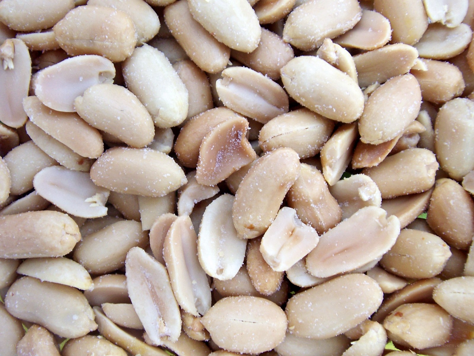 salted peanuts close-up