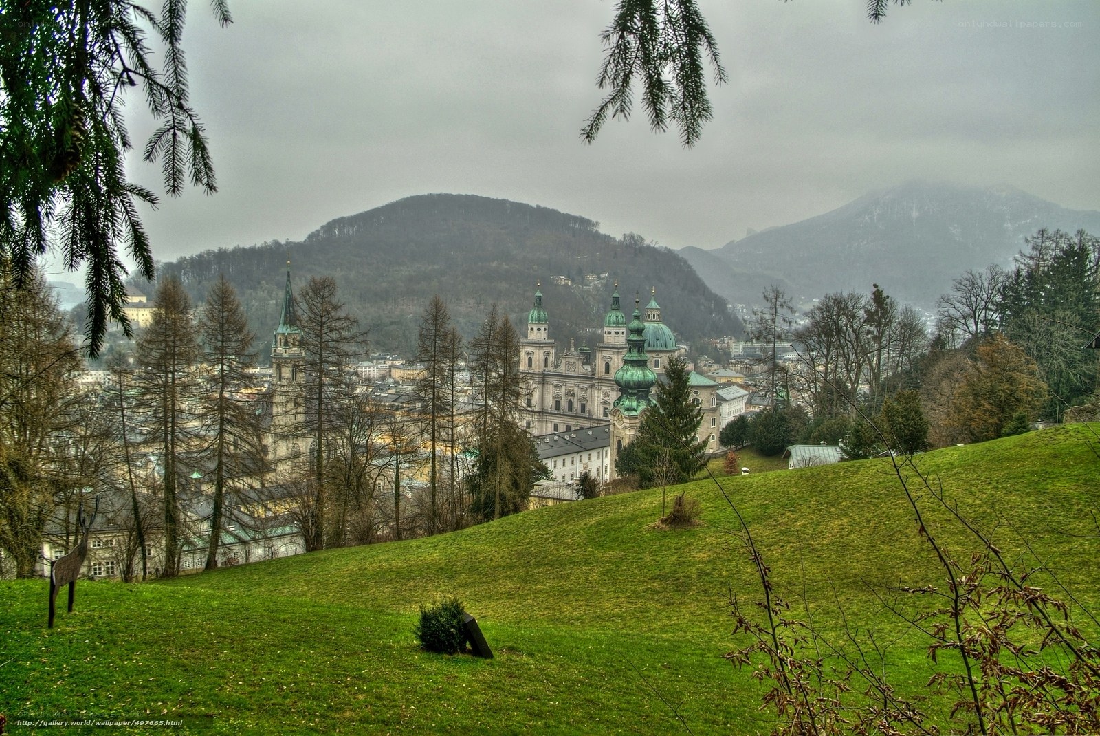 Salzburg cityscape from a hill