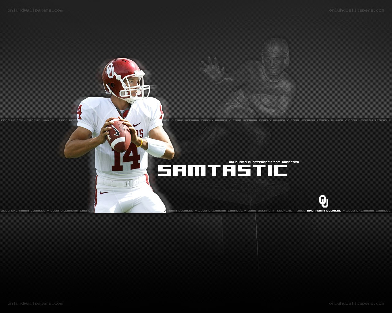 Sam Bradford football wallpaper