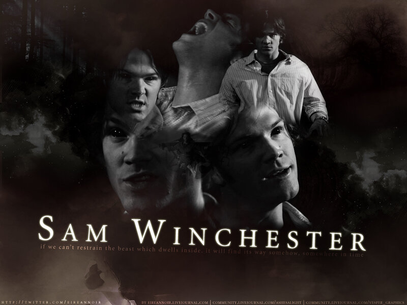 Sam Winchester collage