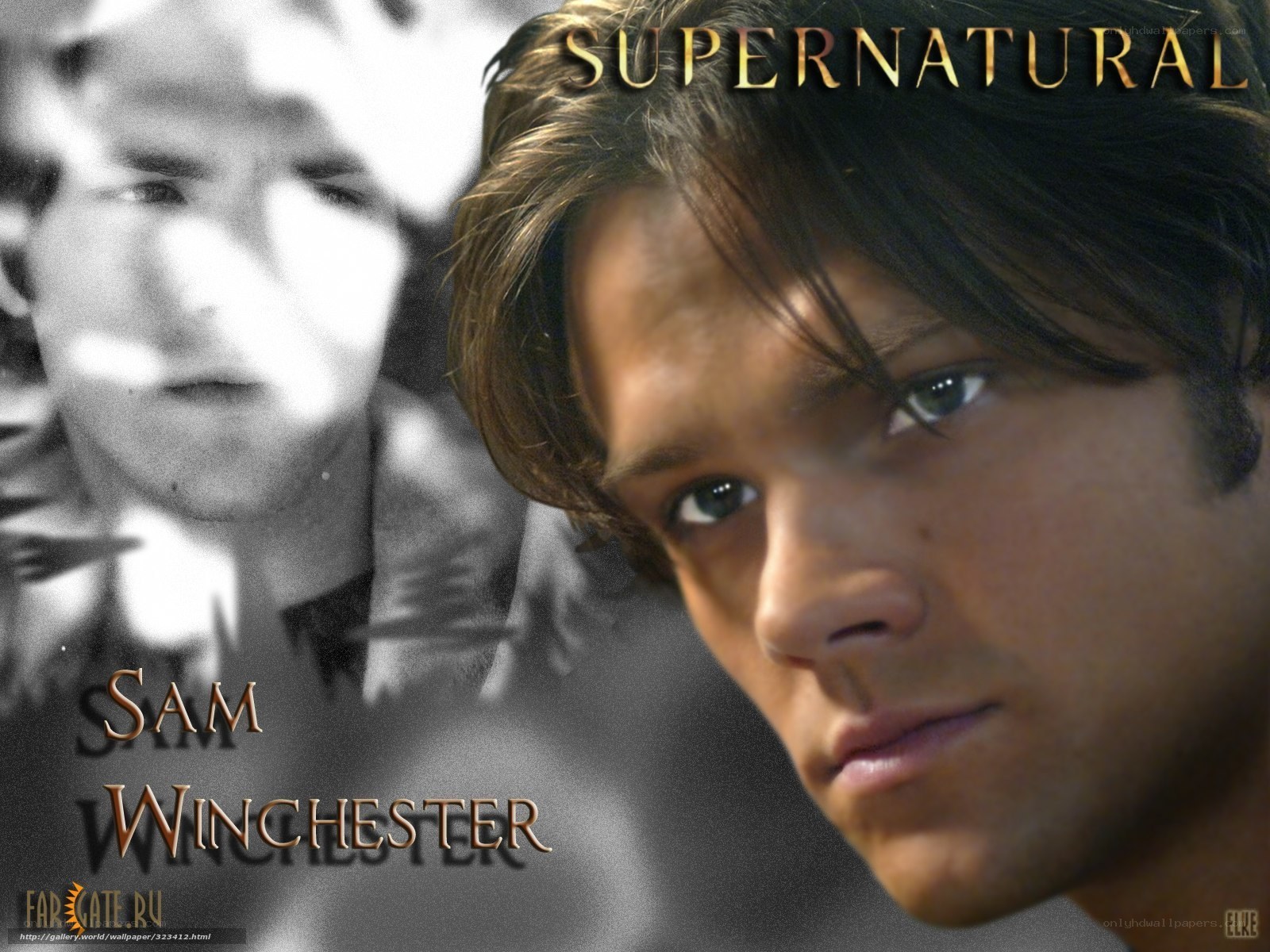 Sam Winchester from Supernatural