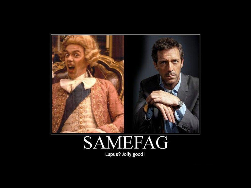SameFag meme image