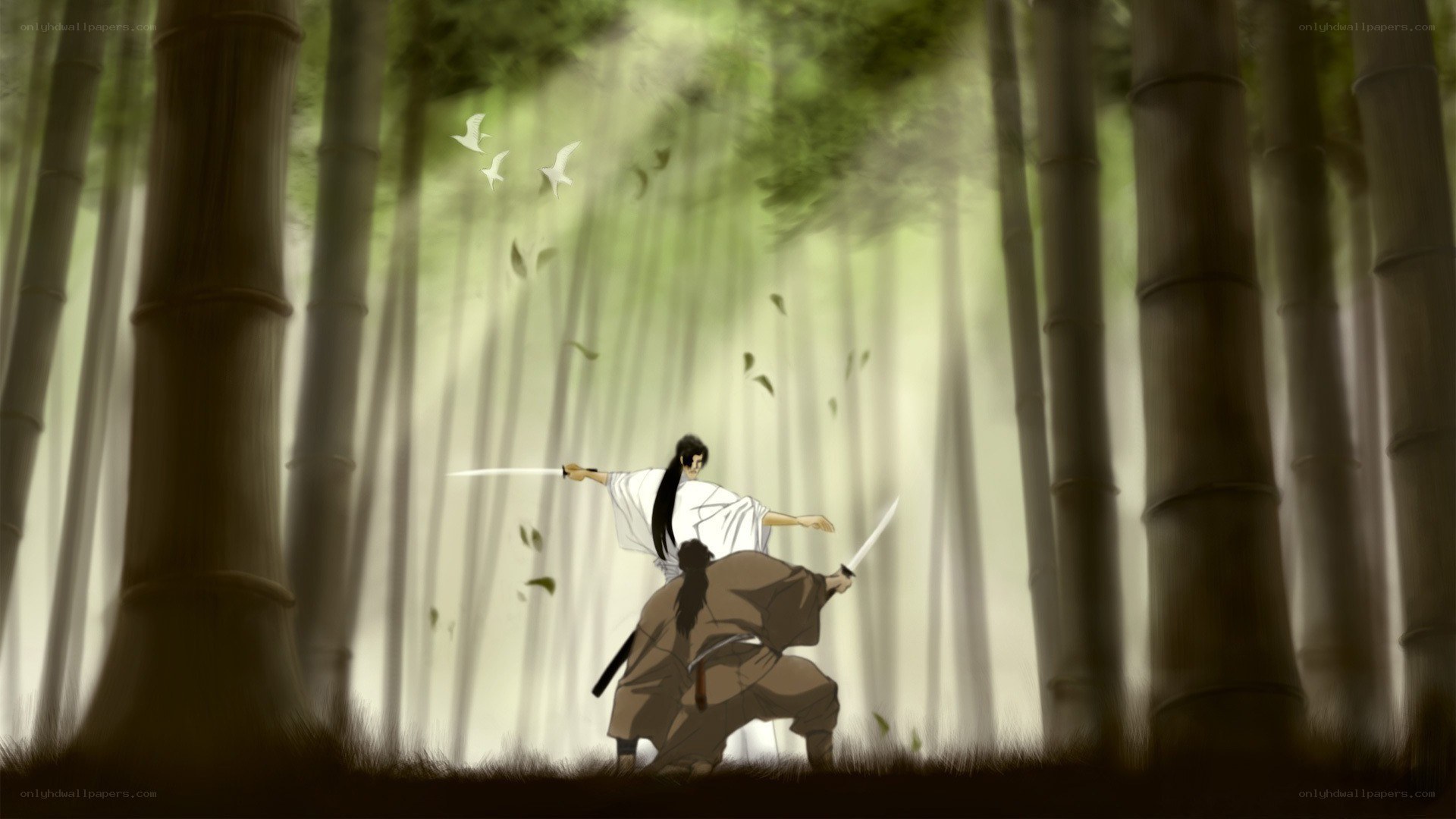 Samurai duel in bamboo forest