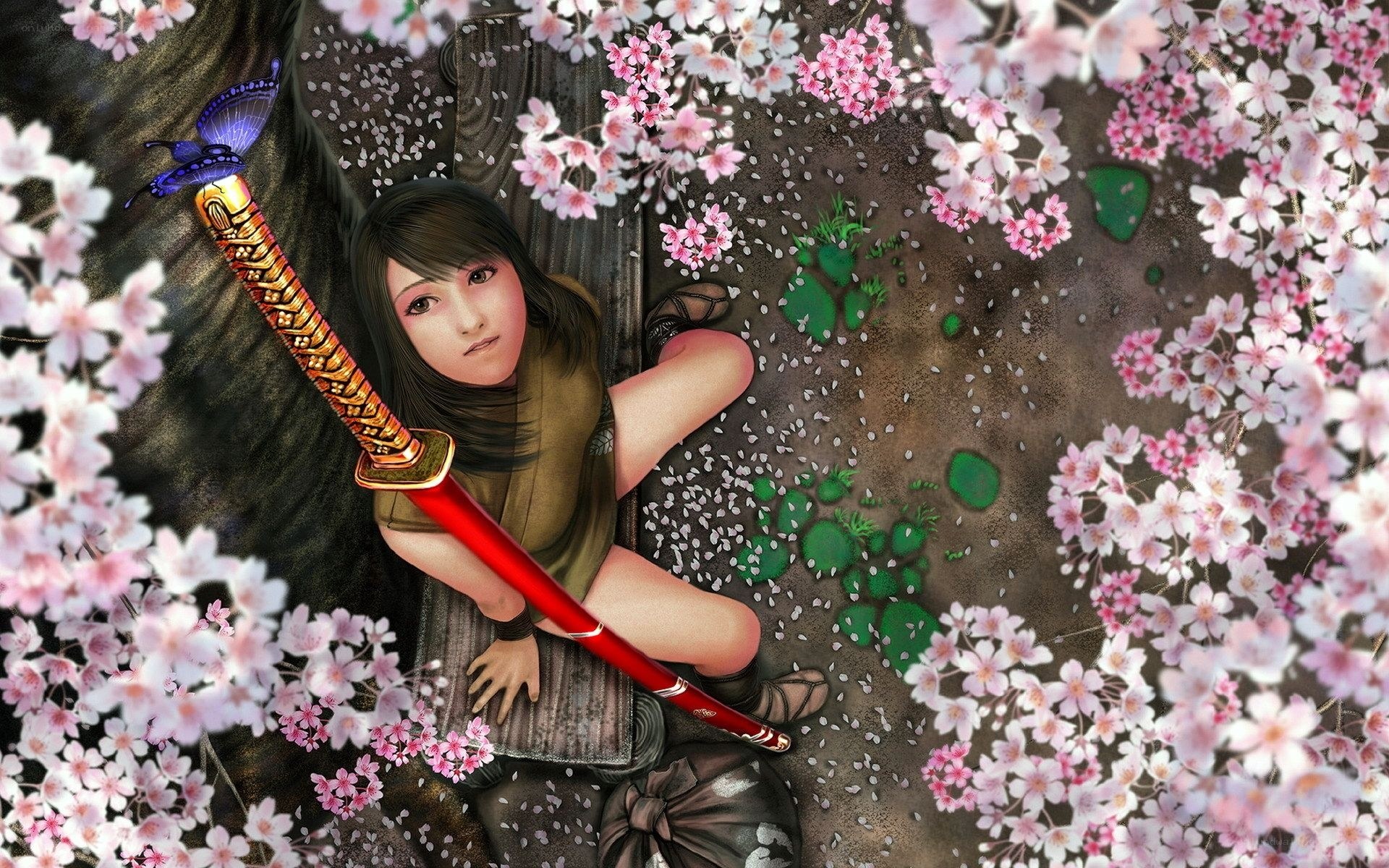 samurai girl in cherry blossoms