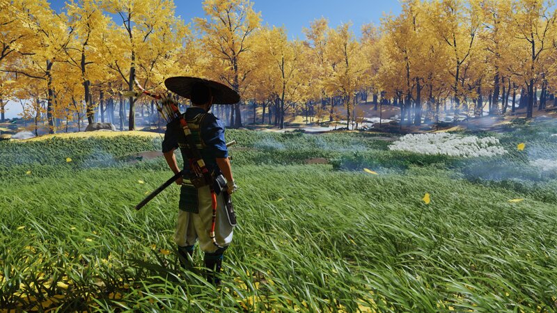 Samurai in a Field — Green