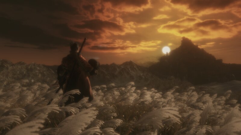 Samurai in a Field — Orange, Dramatic
