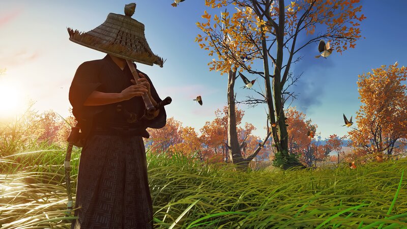 Samurai in Autumn Field