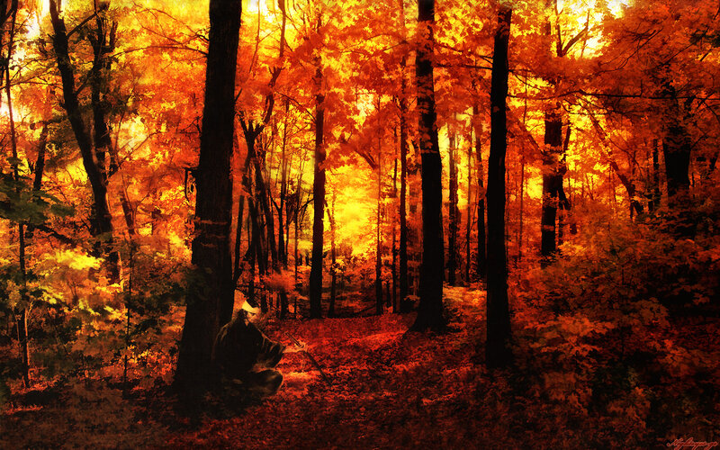 Samurai in autumn forest