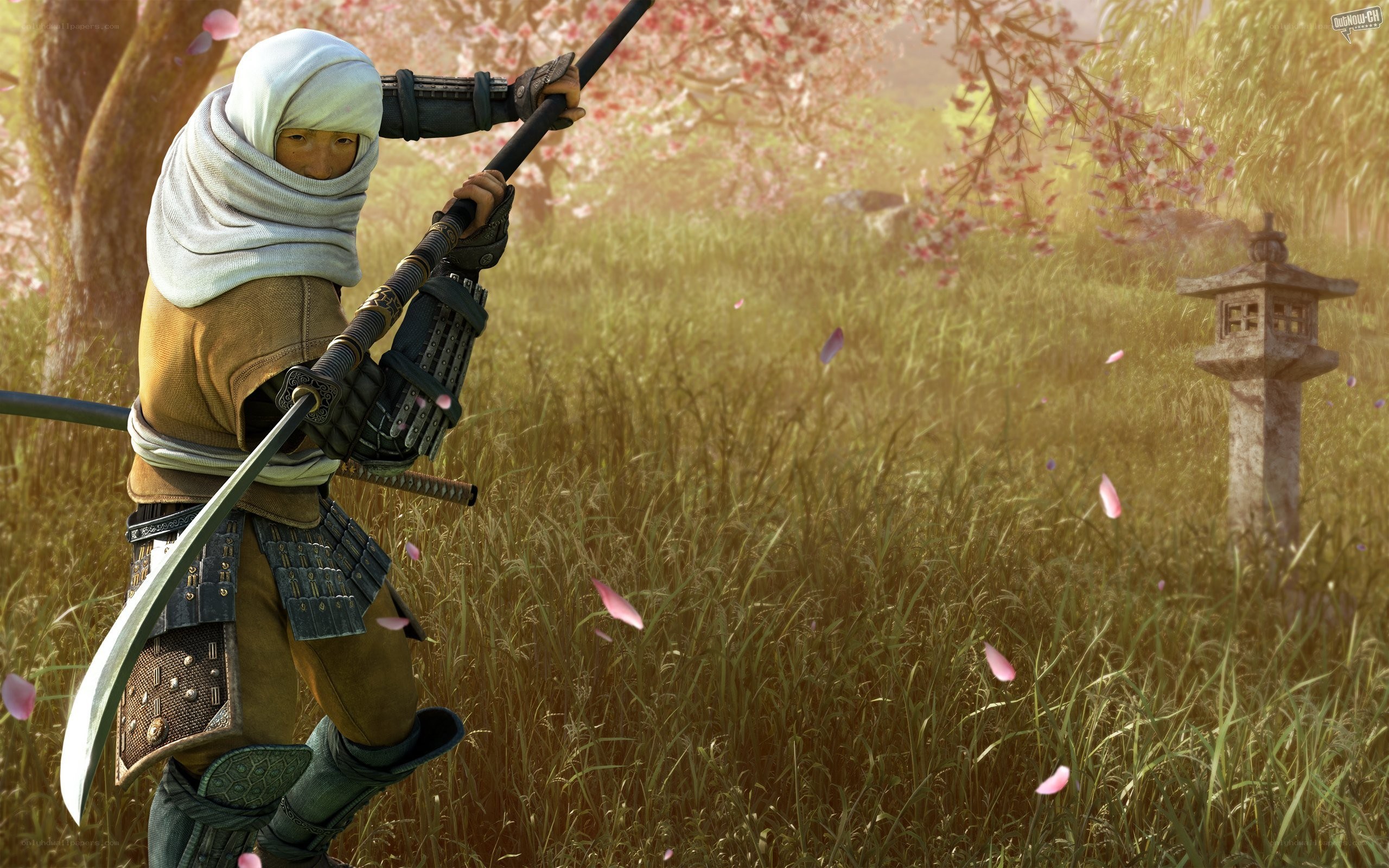 samurai in cherry blossom field