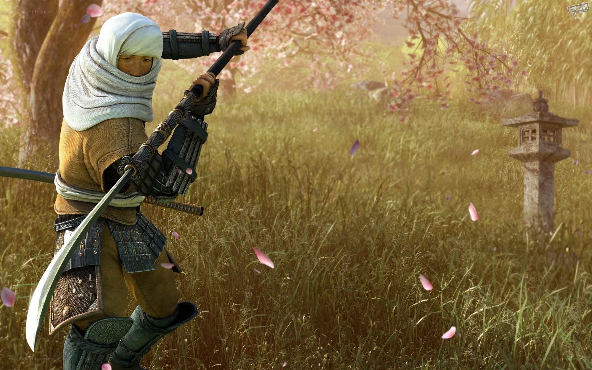 samurai in cherry blossom field