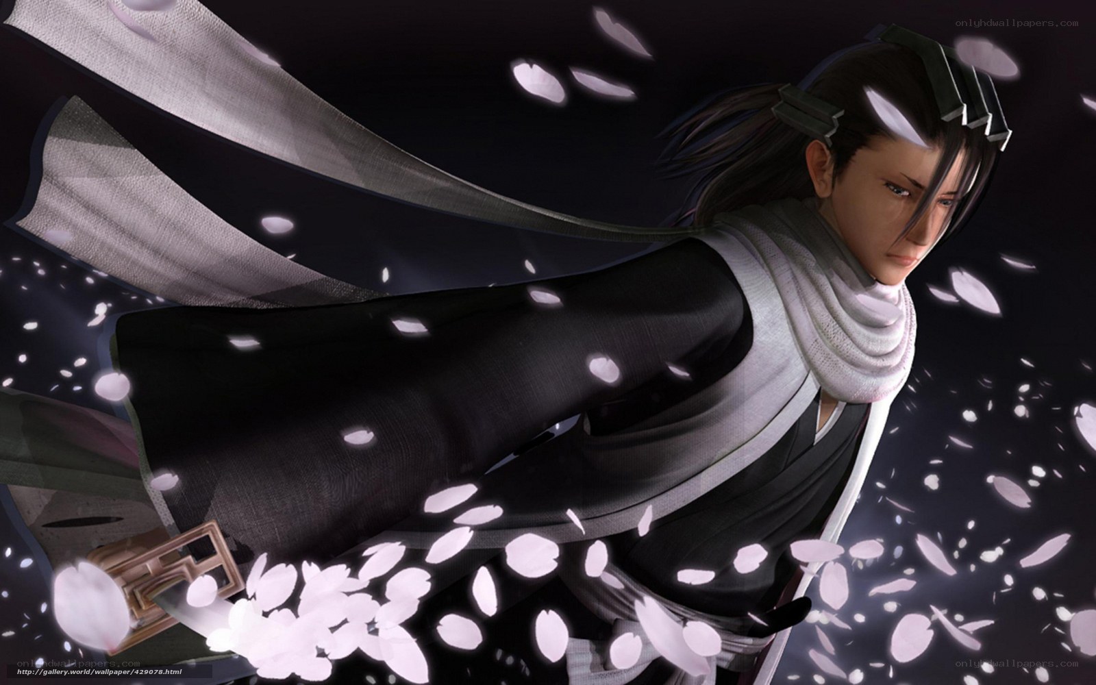 samurai in cherry blossoms