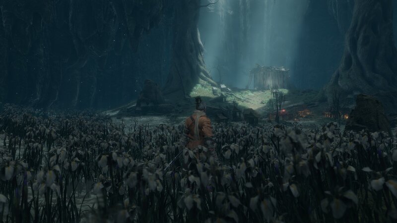 Samurai in Flower Field