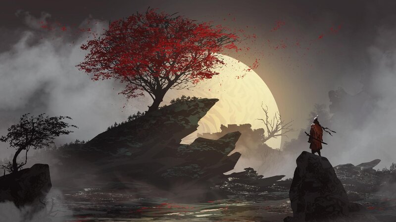 Samurai on a Rock