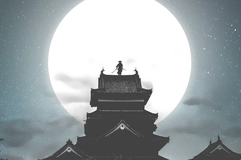 Samurai on Castle Roof