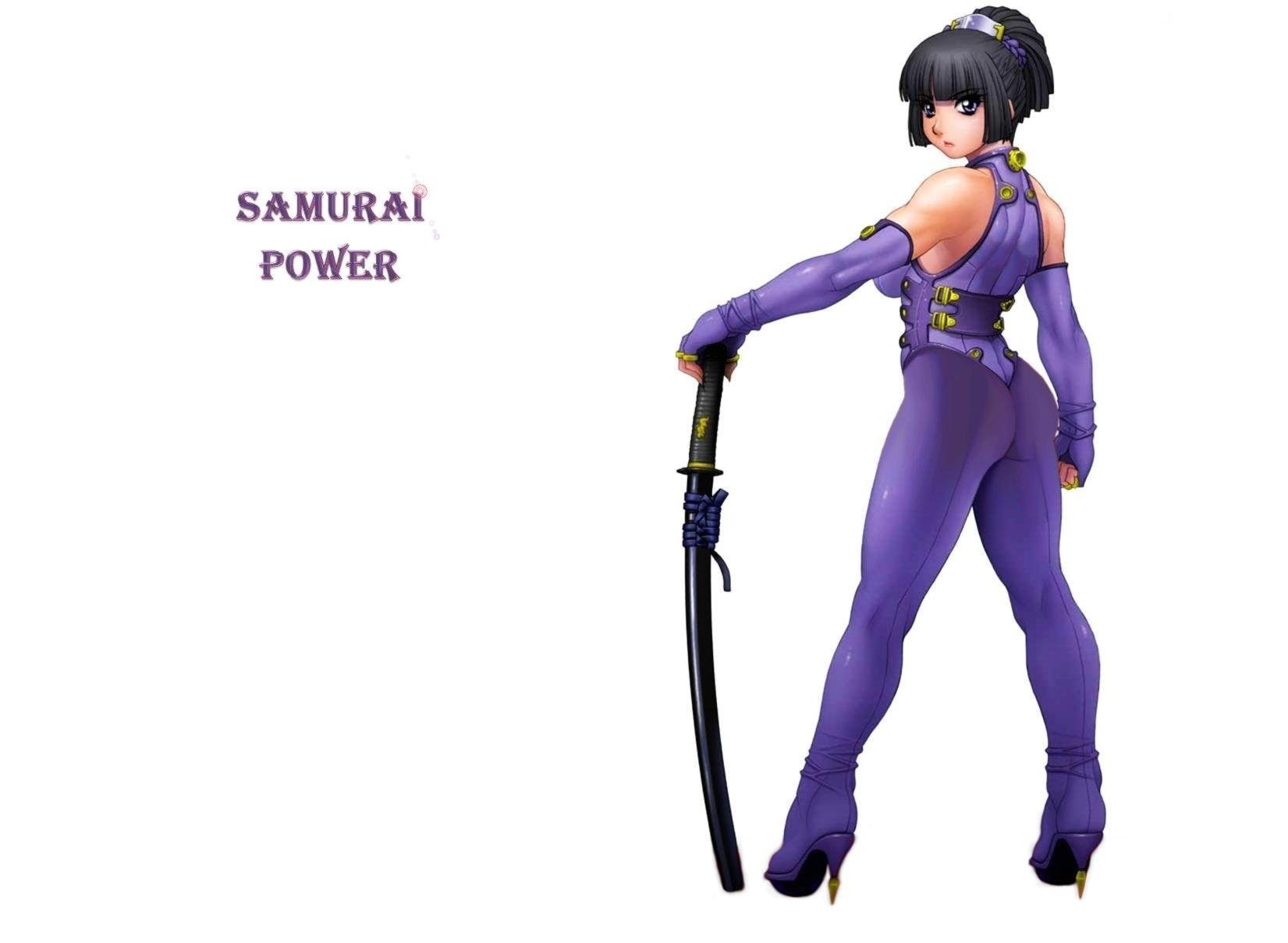 Samurai Power character art
