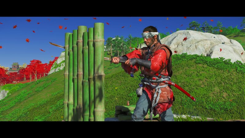 Samurai Practicing with Bamboo