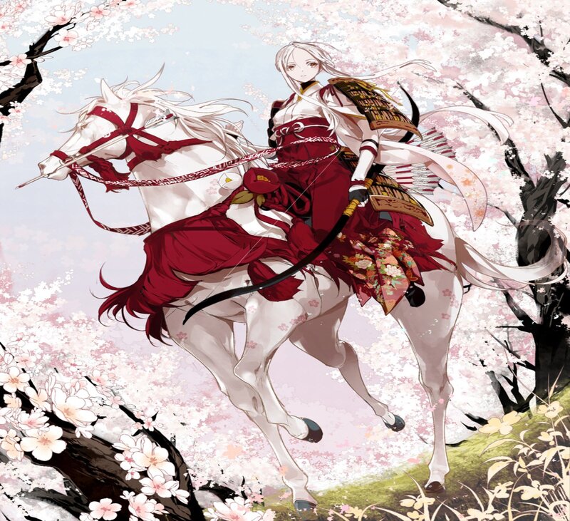 Samurai Rider on Horse
