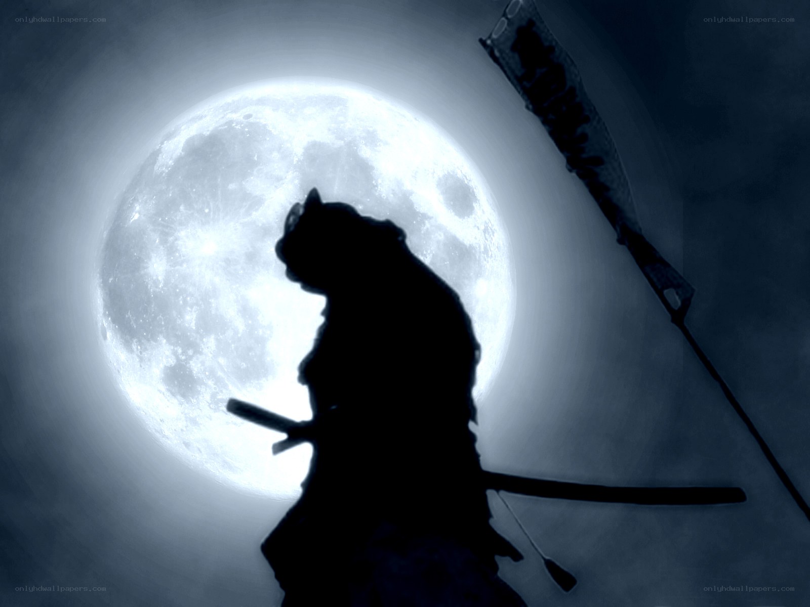 Samurai silhouette against full moon