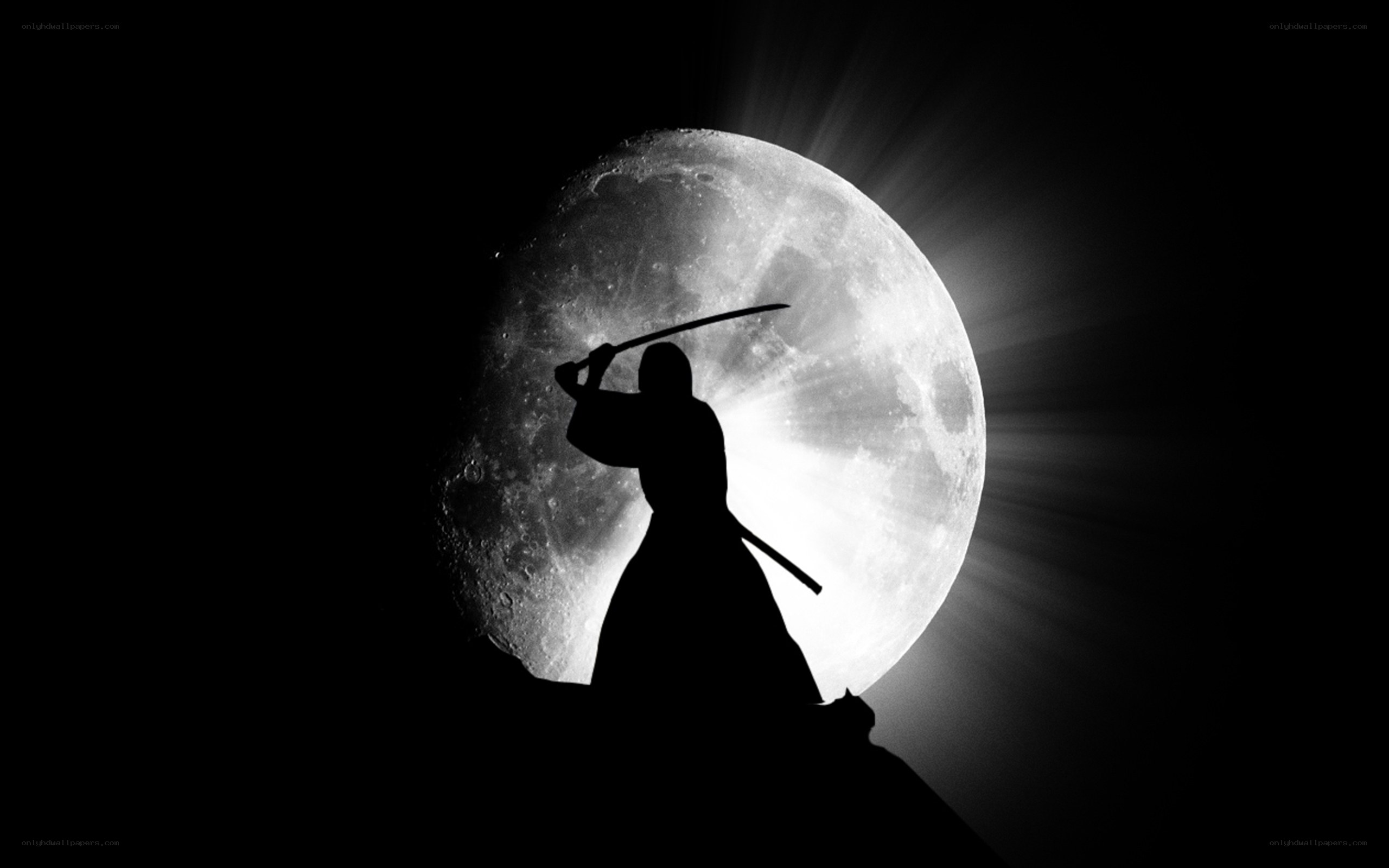 Samurai silhouette against moon