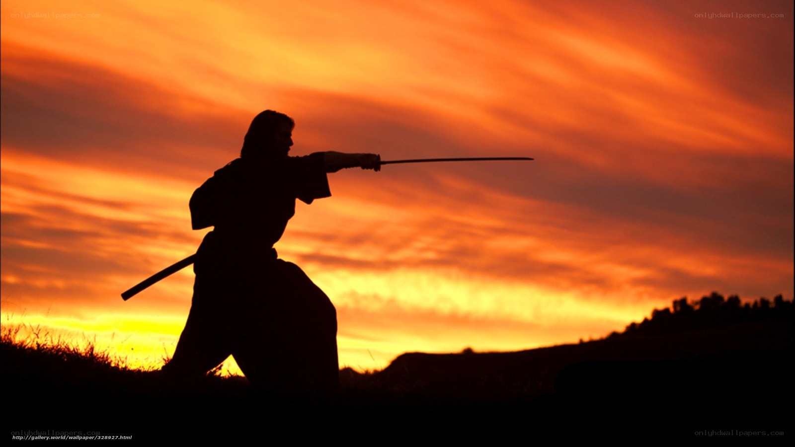 Samurai silhouette at sunset
