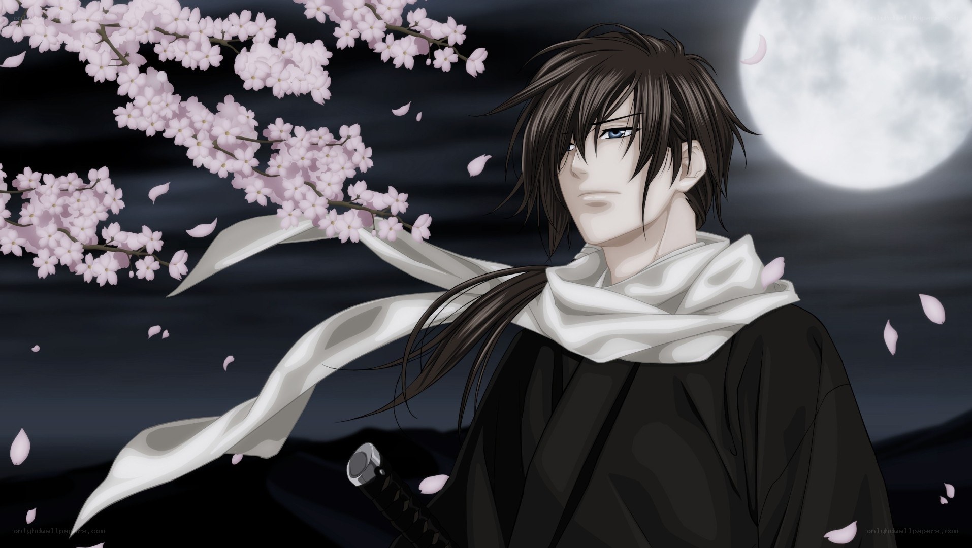 samurai under cherry blossoms