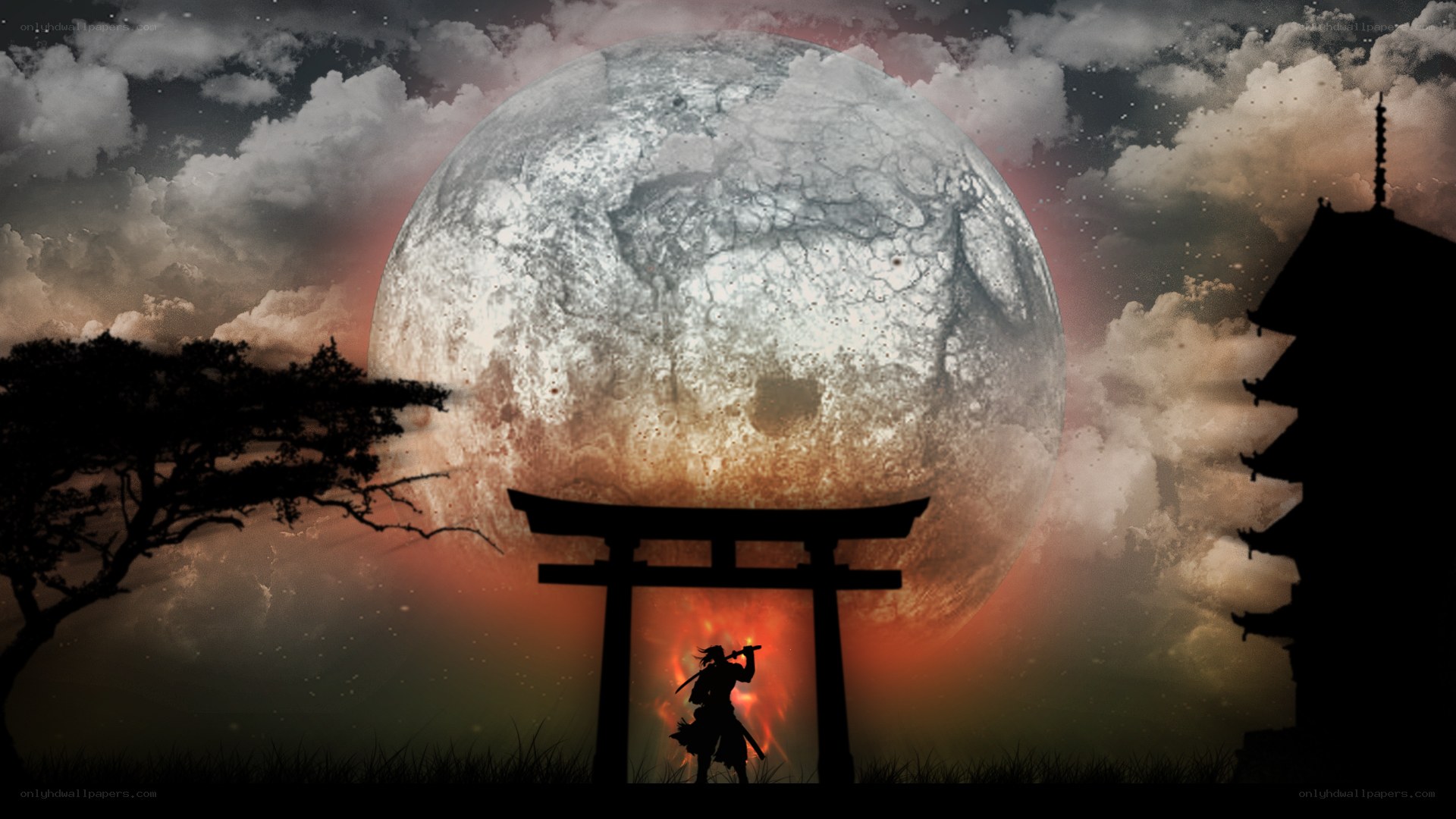 Samurai under the full moon
