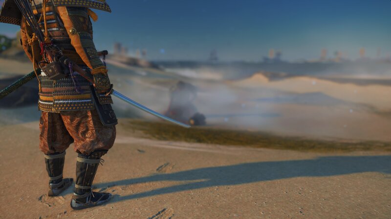 Samurai Warrior — Brown, Dramatic, Afternoon