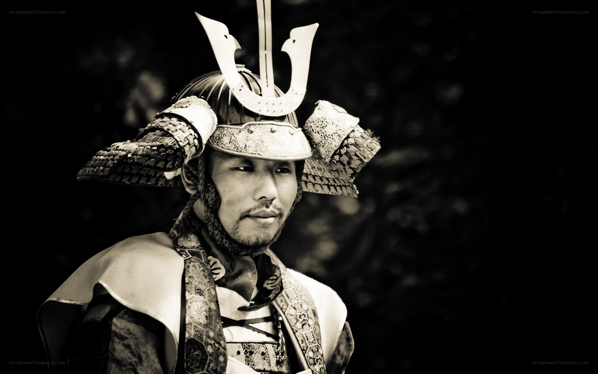 Samurai warrior in traditional armor