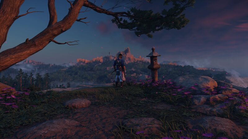 Samurai Warrior on Hill