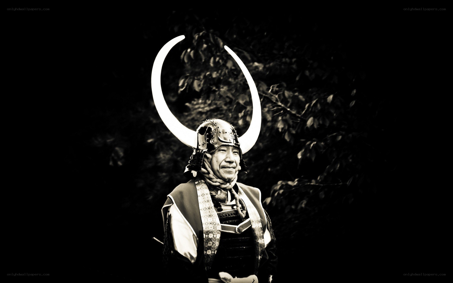 Samurai warrior with horned helmet