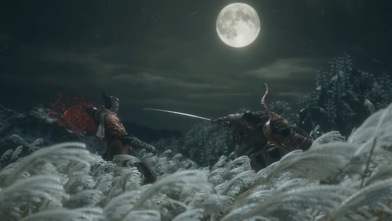 Samurai Warriors Fighting — Gray, Dramatic