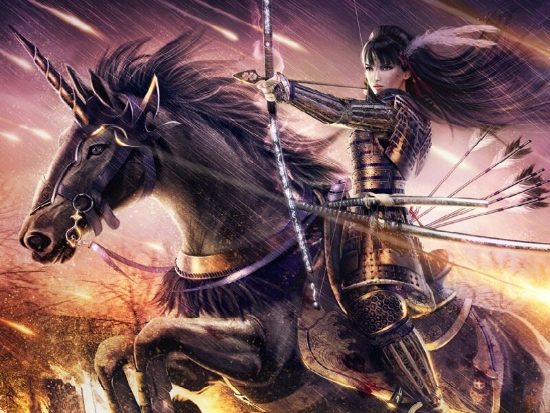 Samurai Woman on Unicorn