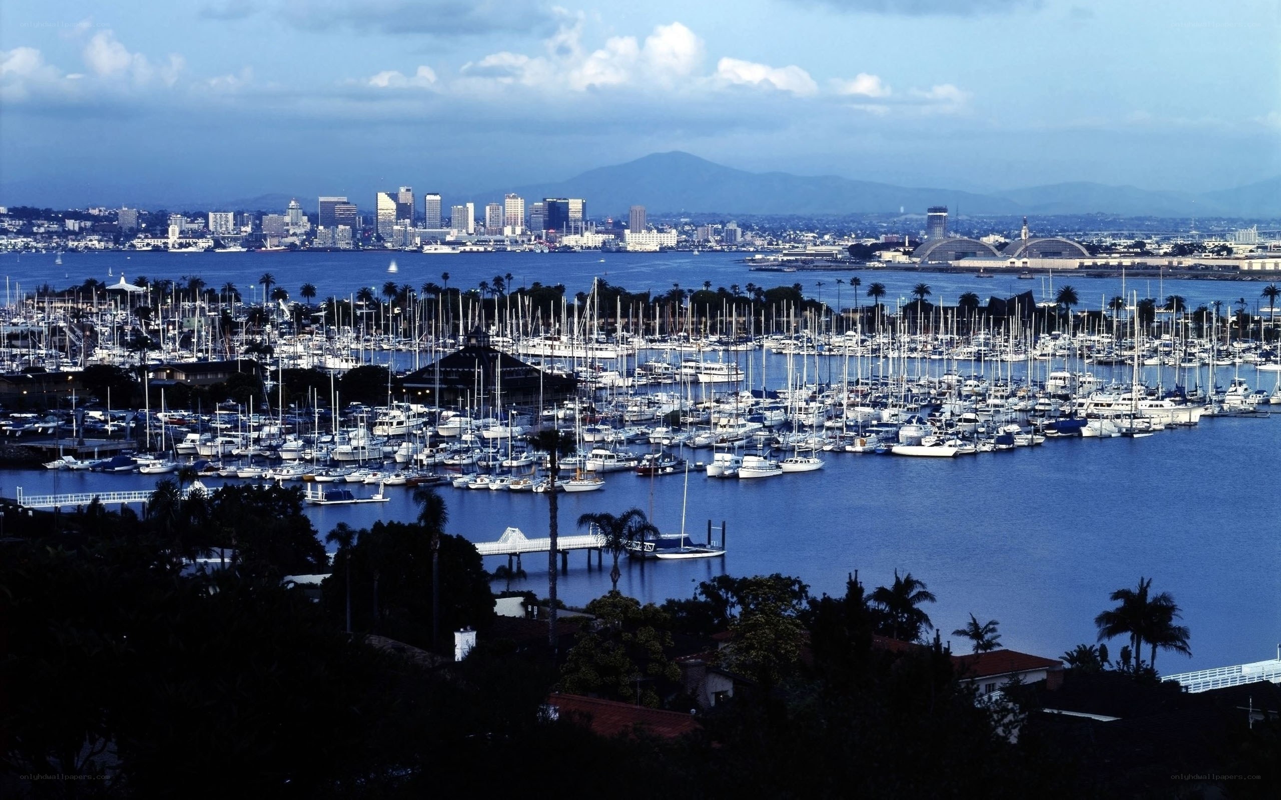San Diego harbor and skyline