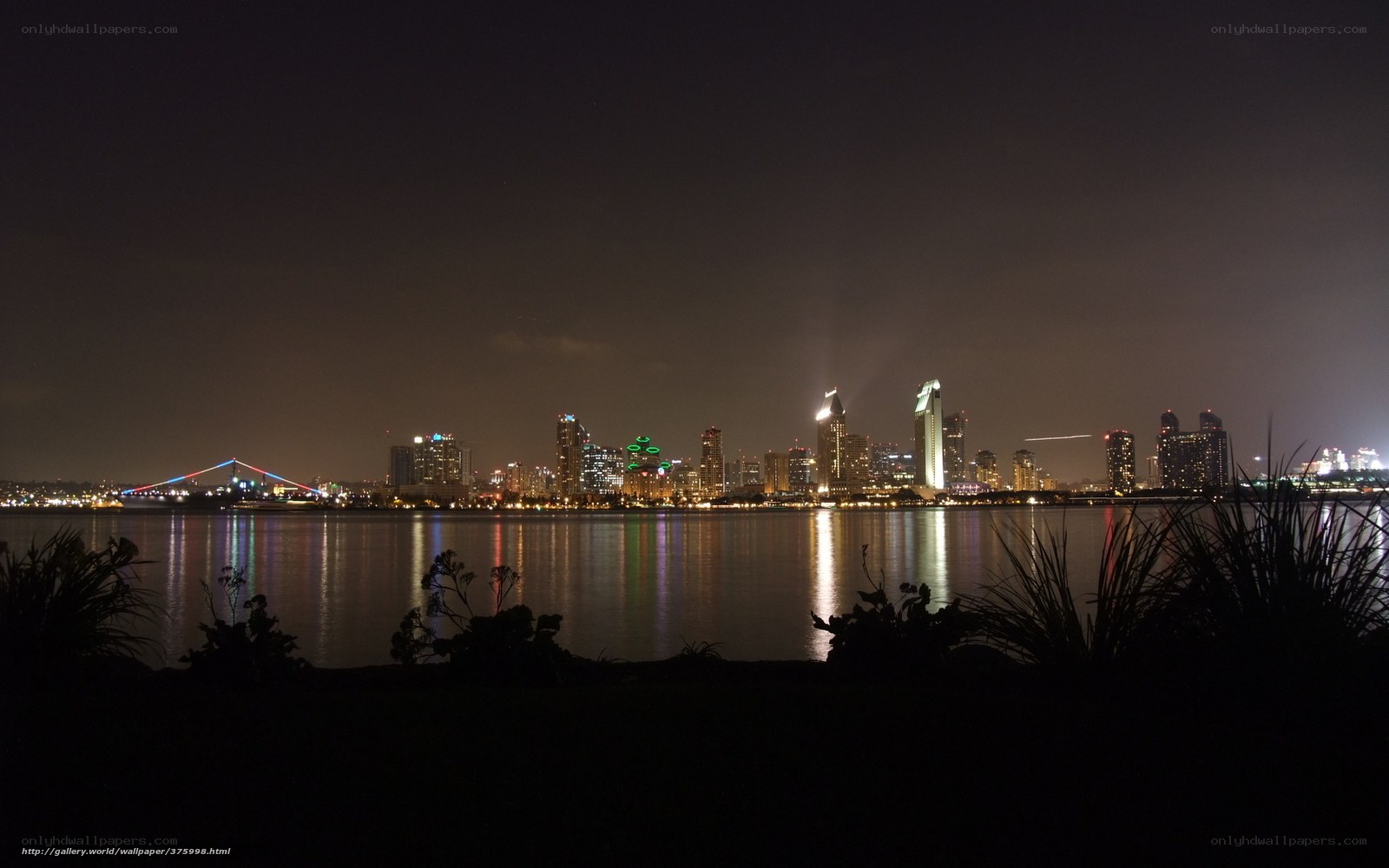 San Diego skyline at night